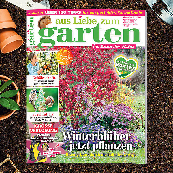 Aus Liebe zum Garten - Nov.-Dez. 2021